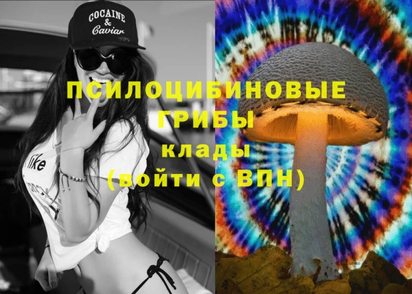 герыч Алексин