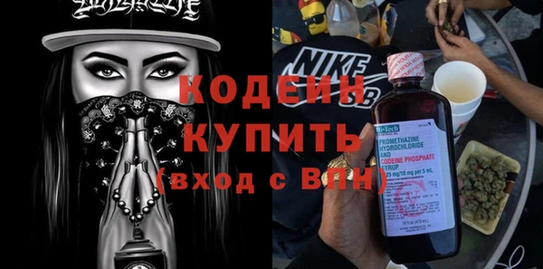 индика Алзамай