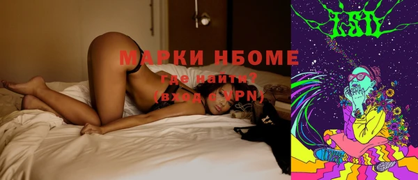 индика Алзамай