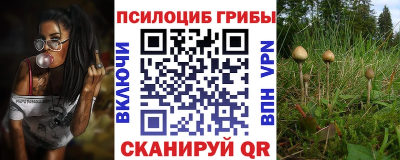 Галлюциногенные грибы Cubensis  мега tor  Алушта 
